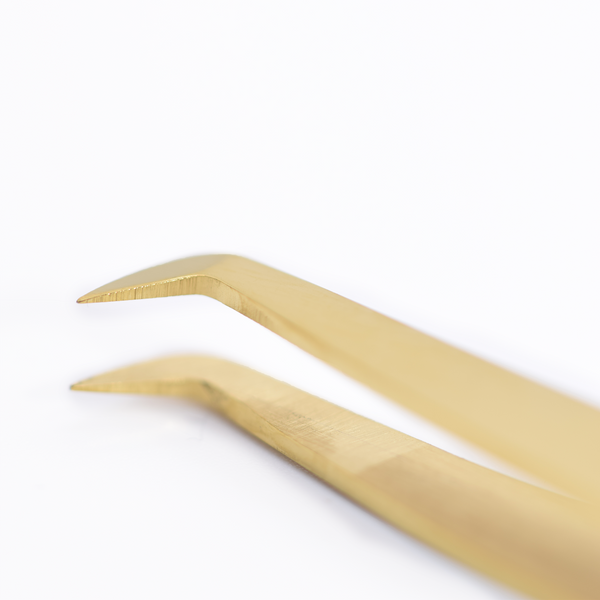 Gold Standard Ultra Curved Tweezers - LashBeePro